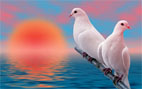 عشق