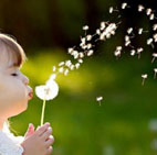 wish